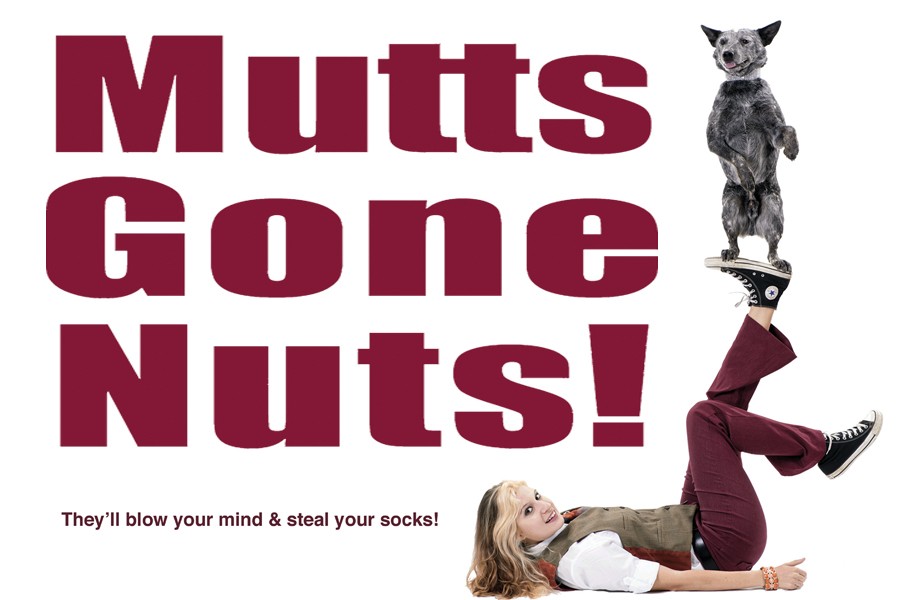 Mutts Gone NutsShow The Lyric Theatre